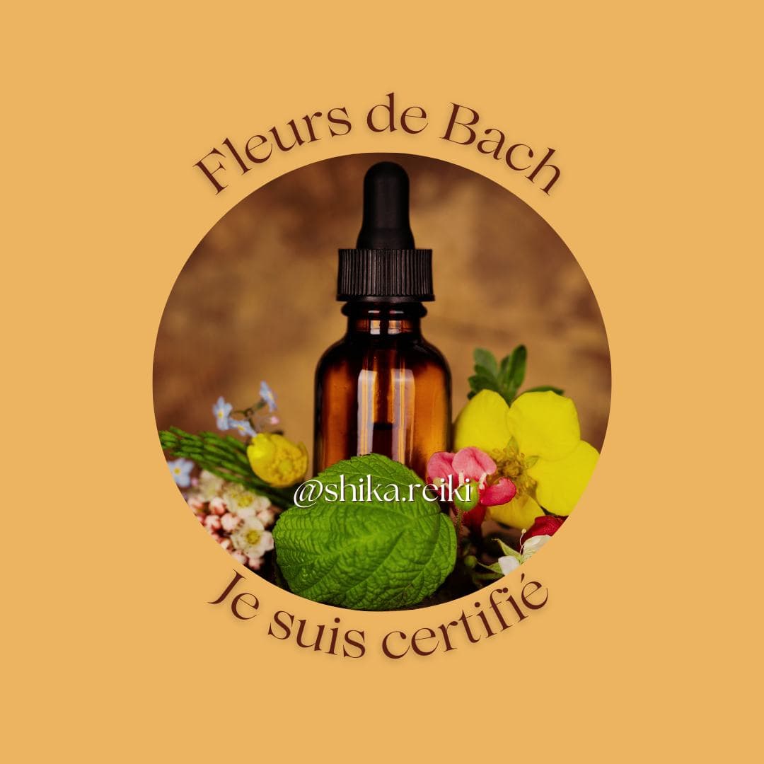 Certification Fleurs de Bach — Julian Vicente